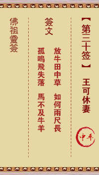 佛祖靈籤 第30籤:王可休妻 中平籤